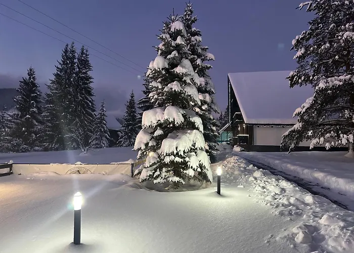 Domeniul CRIS Hotel Vatra Dornei